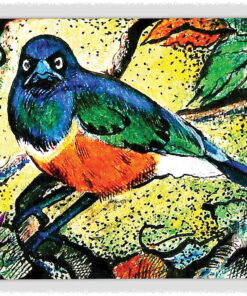 ao bird 05 ~ EvitaWorks