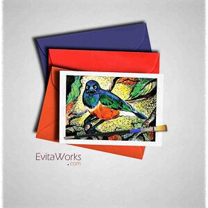 ao bird 05 cd ~ EvitaWorks