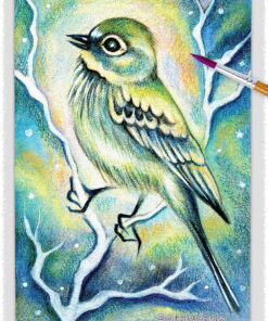 ao bird 10 ~ EvitaWorks
