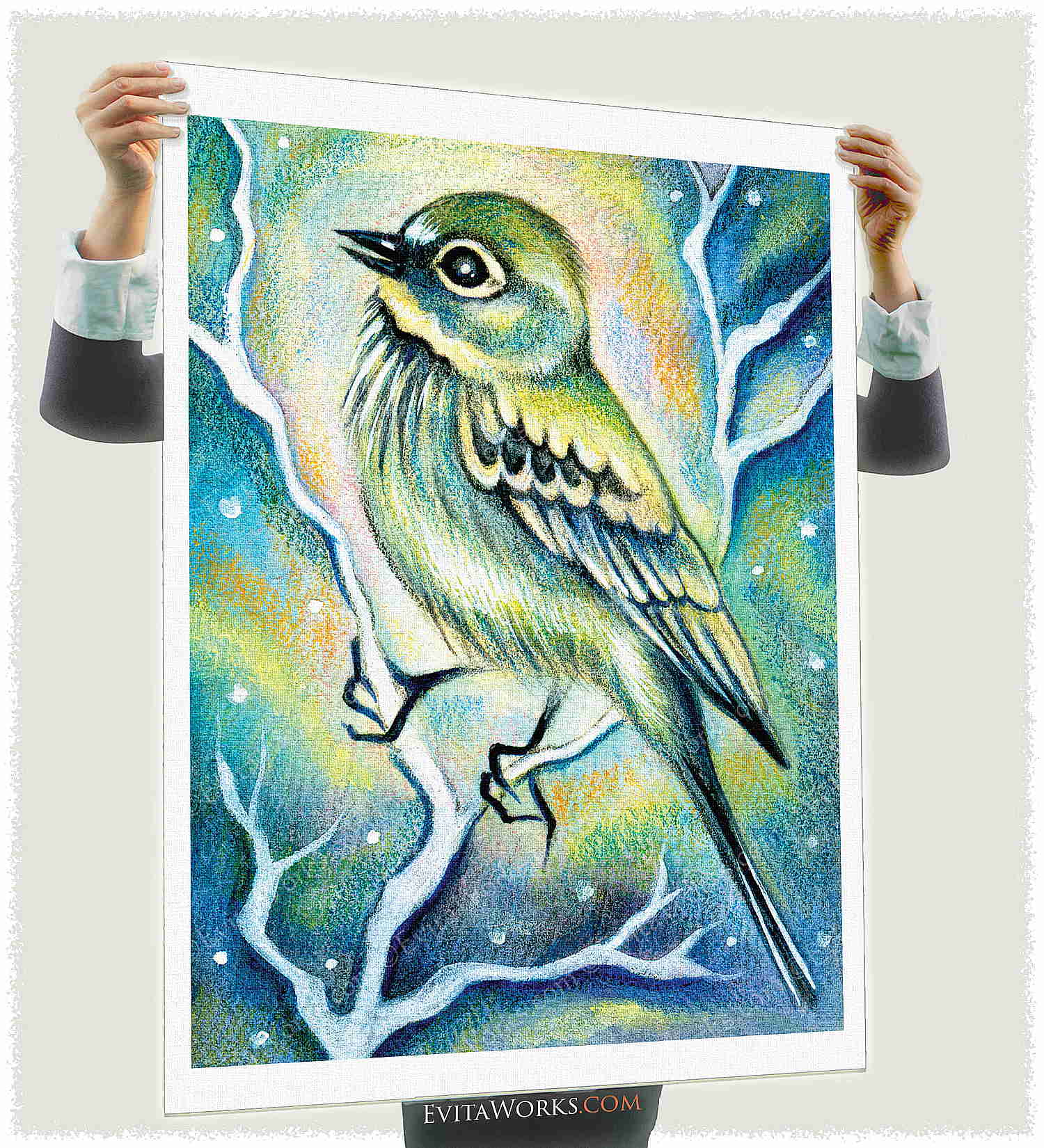 ao bird 10 a1 ~ EvitaWorks