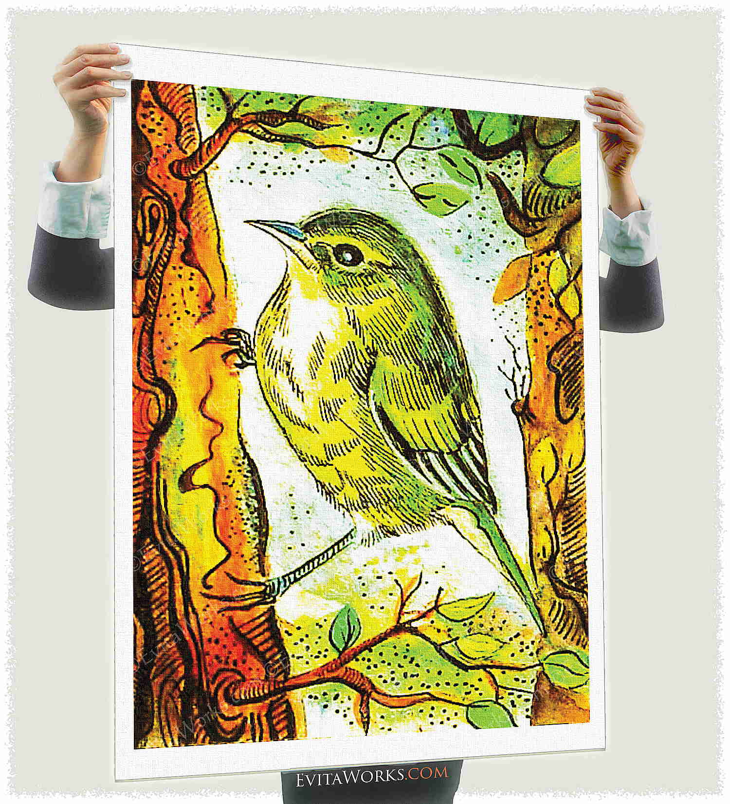 ao bird 13 a1 ~ EvitaWorks