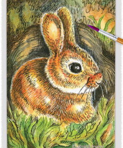 ao rabbit 01 ~ EvitaWorks