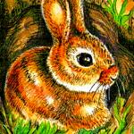 ao rabbit 01 a1rfd ~ EvitaWorks