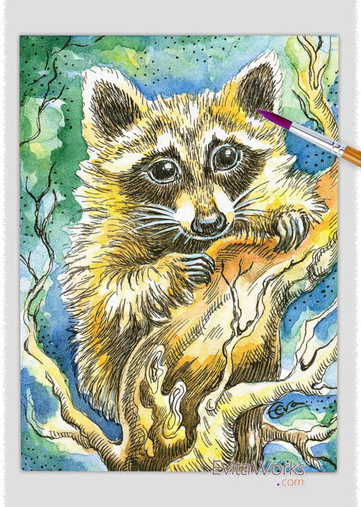 ao raccoon 01 ~ EvitaWorks